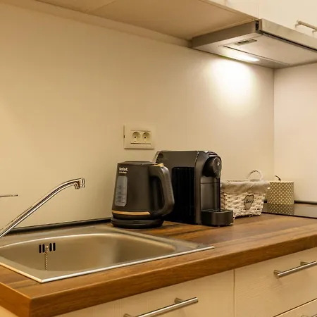 Maniu Studio * 브라쇼브