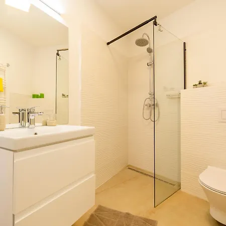 Maniu Studio 아파트 브라쇼브