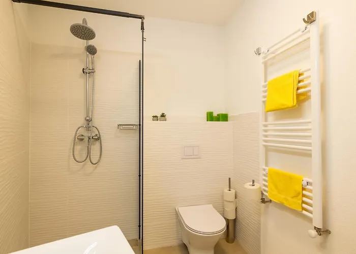 Apartment Maniu Studio