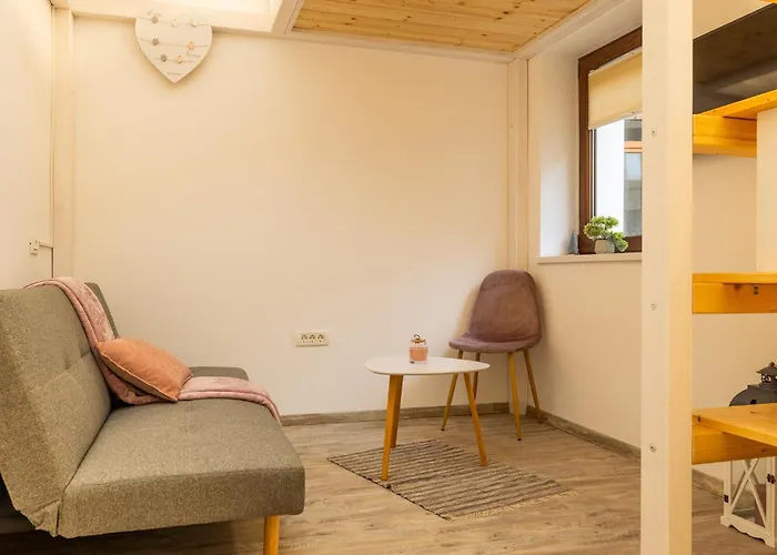 Maniu Studio Apartment